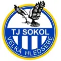 Sokol V.Hleďsebe