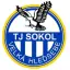 Sokol V.Hleďsebe