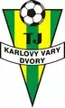 TJ K.Vary-Dvory